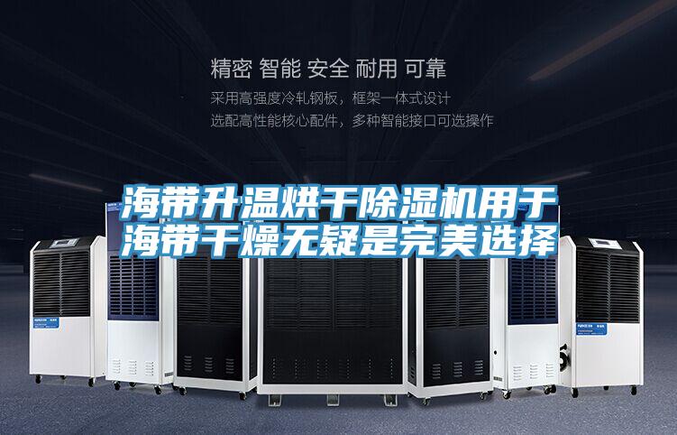 海带升温烘干粉色应用黄色软件用于海带干燥无疑是完美选择