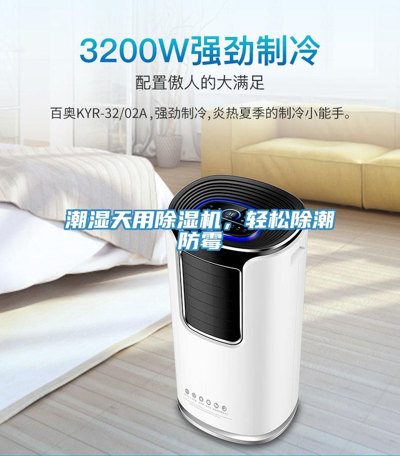 潮湿天用粉色应用黄色软件，轻松除潮防霉