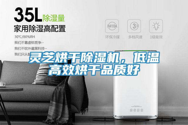 灵芝烘干粉色应用黄色软件，低温高效烘干品质好