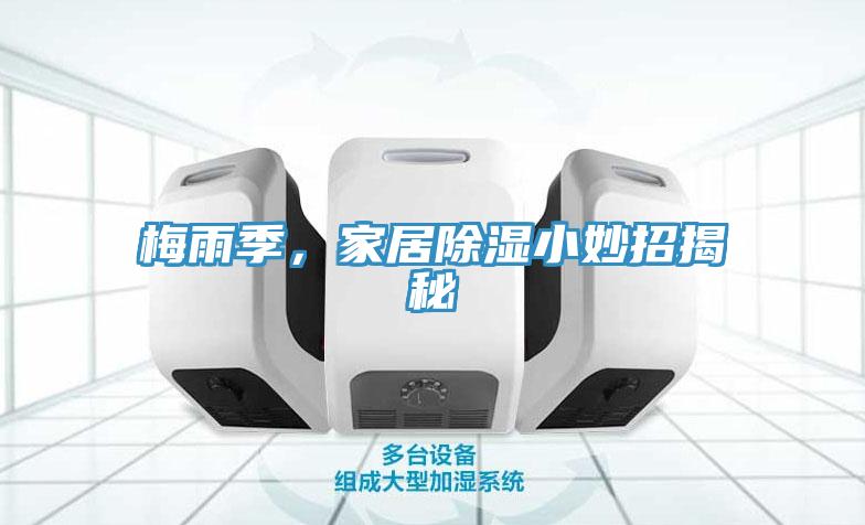 梅雨季，家居除湿小妙招揭秘