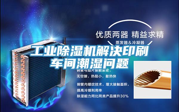 工业粉色应用黄色软件解决印刷车间潮湿问题