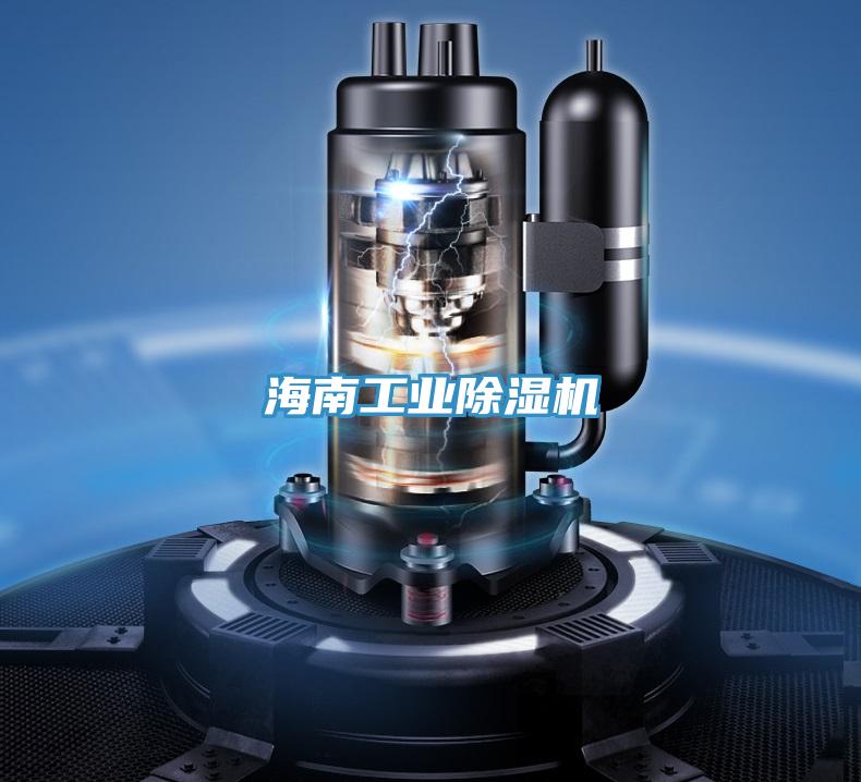 海南工业粉色应用黄色软件