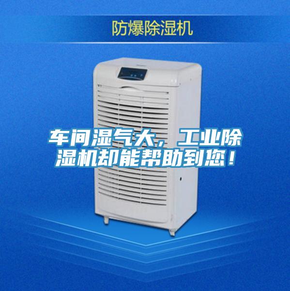 车间湿气大，工业粉色应用黄色软件却能帮助到您！