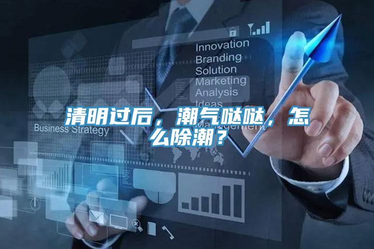 清明过后，潮气哒哒，怎么除潮？