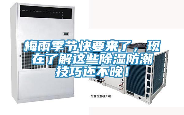梅雨季节快要来了，现在了解这些除湿防潮技巧还不晚！