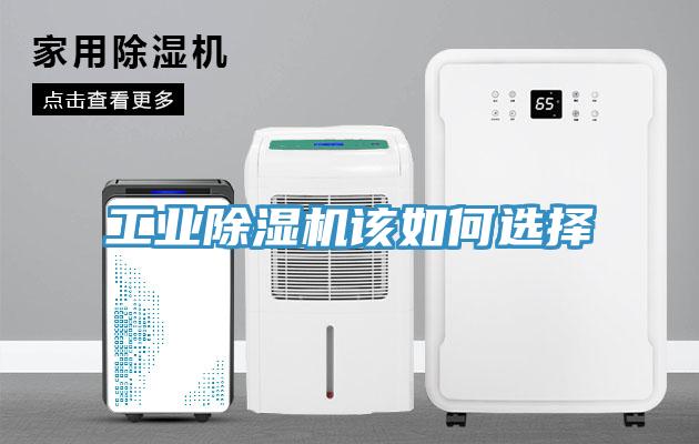工业粉色应用黄色软件该如何选择