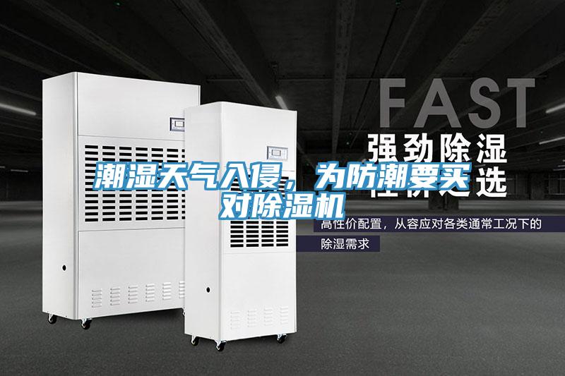 潮湿天气入侵，为防潮要买对粉色应用黄色软件