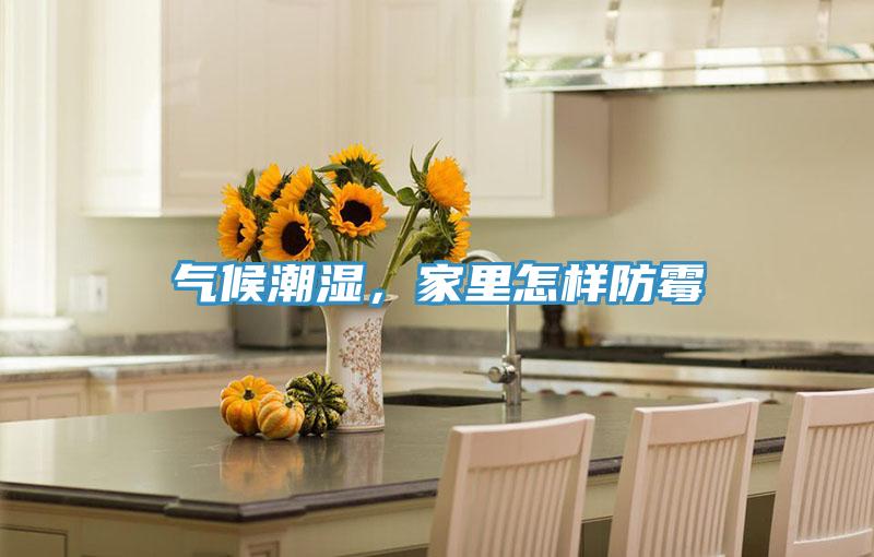 气候潮湿，家里怎样防霉