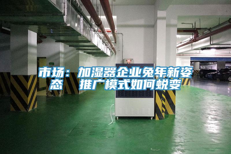市场：加湿器企业兔年新姿态  推广模式如何蜕变