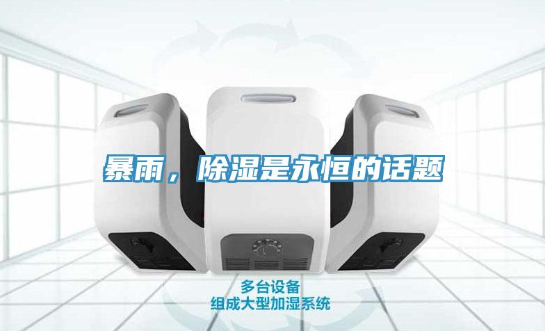 暴雨，除湿是永恒的话题