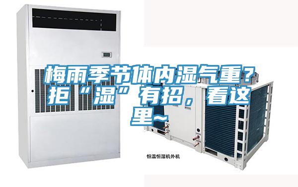 梅雨季节体内湿气重？拒“湿”有招，看这里~
