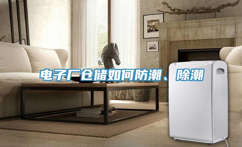 电子厂仓储如何防潮、除潮