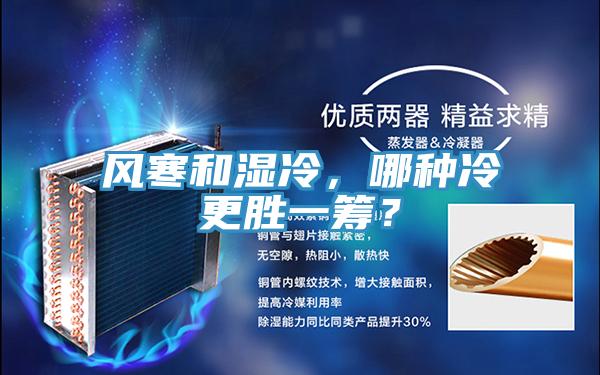风寒和湿冷，哪种冷更胜一筹？