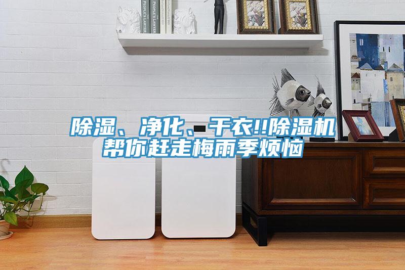 除湿、净化、干衣!!粉色应用黄色软件帮你赶走梅雨季烦恼