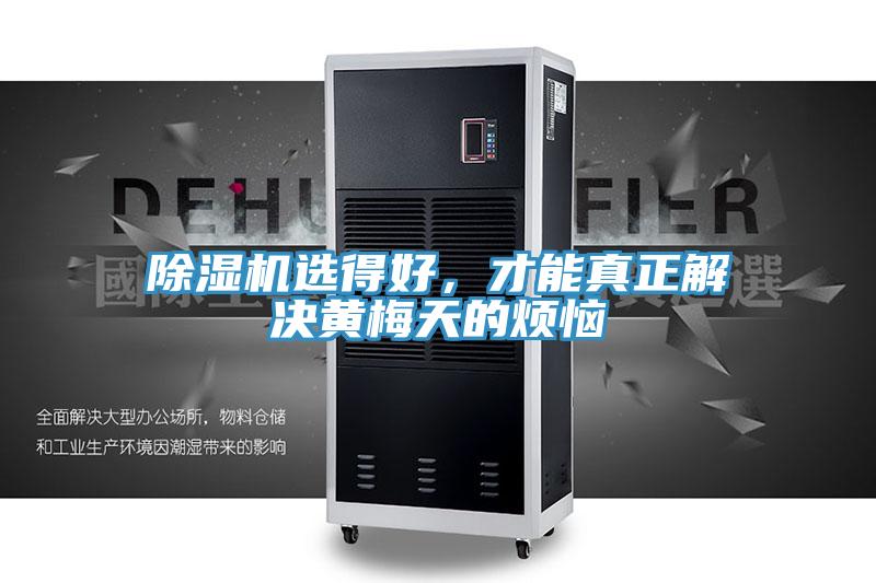 粉色应用黄色软件选得好，才能真正解决黄梅天的烦恼