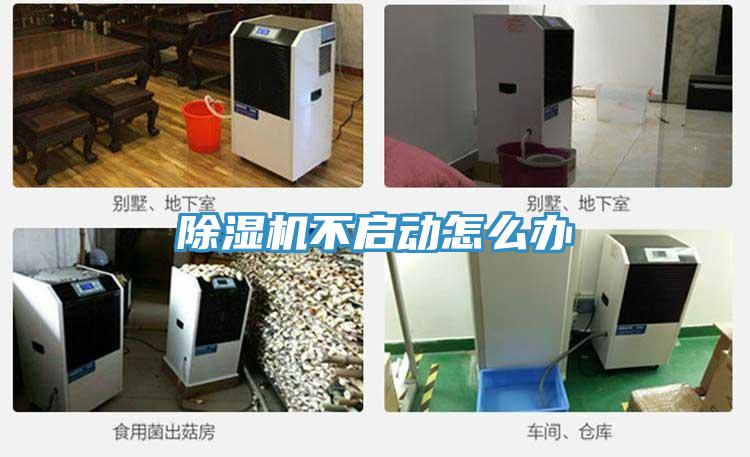 粉色应用黄色软件不启动怎么办