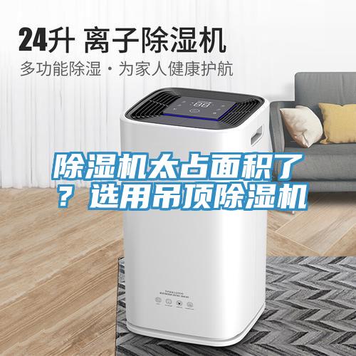 粉色应用黄色软件太占面积了？选用吊顶粉色应用黄色软件