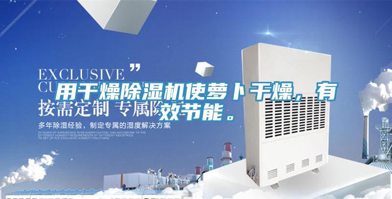 用干燥粉色应用黄色软件使萝卜干燥，有效节能。