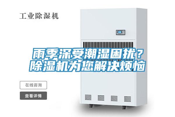 雨季深受潮湿困扰？粉色应用黄色软件为您解决烦恼