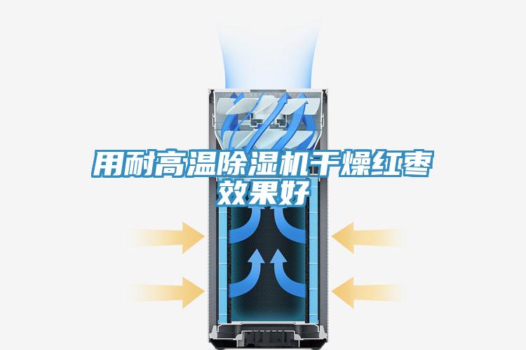 用耐高温粉色应用黄色软件干燥红枣效果好