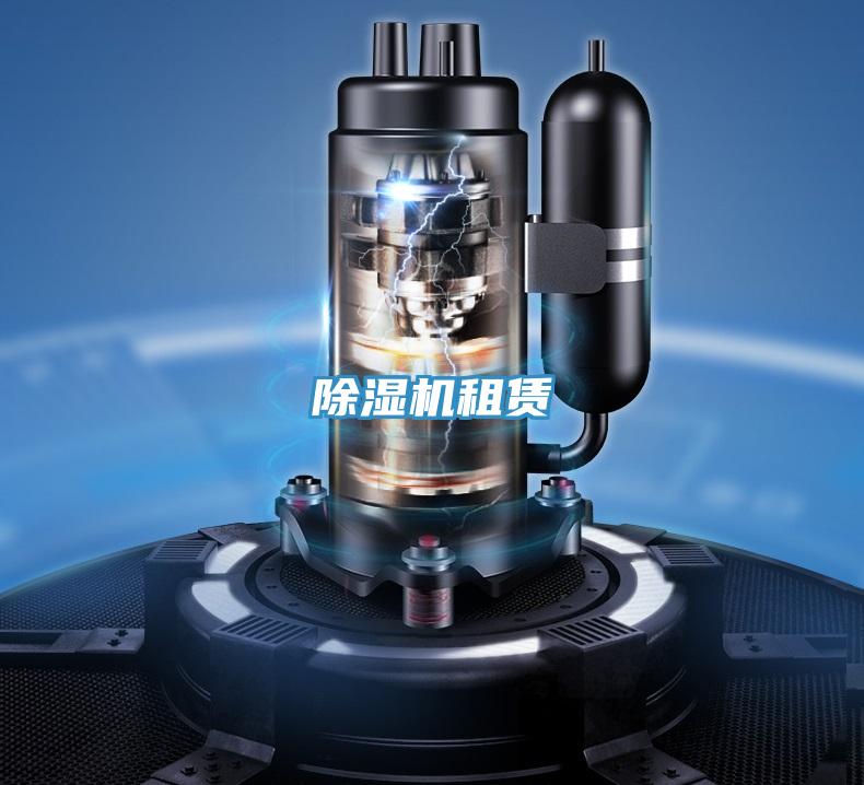 粉色应用黄色软件租赁