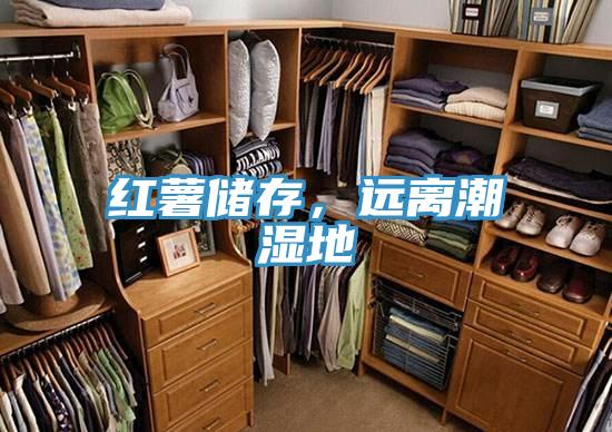 红薯储存，远离潮湿地