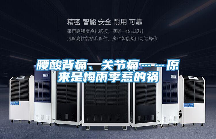 腰酸背痛、关节痛……原来是梅雨季惹的祸