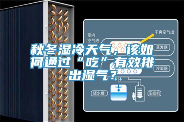 秋冬湿冷天气，该如何通过“吃”有效排出湿气？