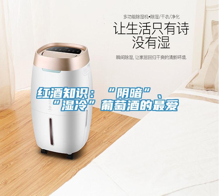 红酒知识：“阴暗”、“湿冷”葡萄酒的最爱