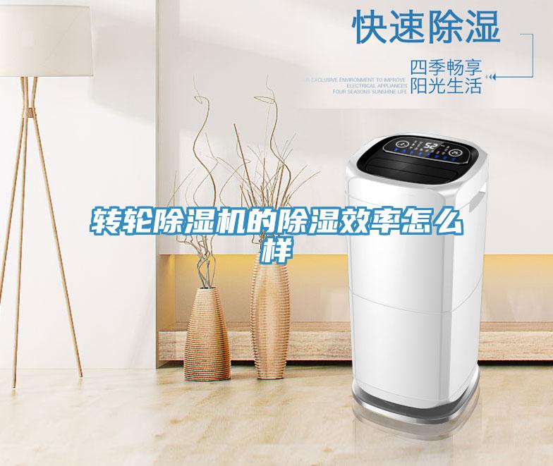 转轮粉色应用黄色软件的除湿效率怎么样