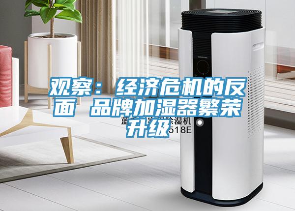 观察：经济危机的反面 品牌加湿器繁荣升级
