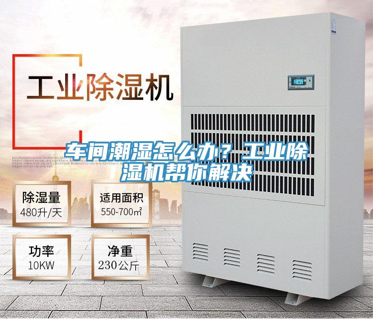 车间潮湿怎么办？工业粉色应用黄色软件帮你解决