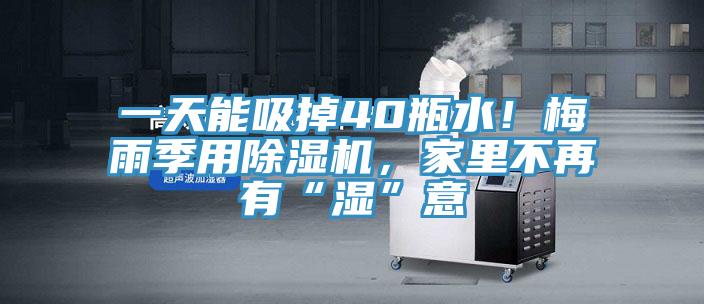 一天能吸掉40瓶水！梅雨季用粉色应用黄色软件，家里不再有“湿”意