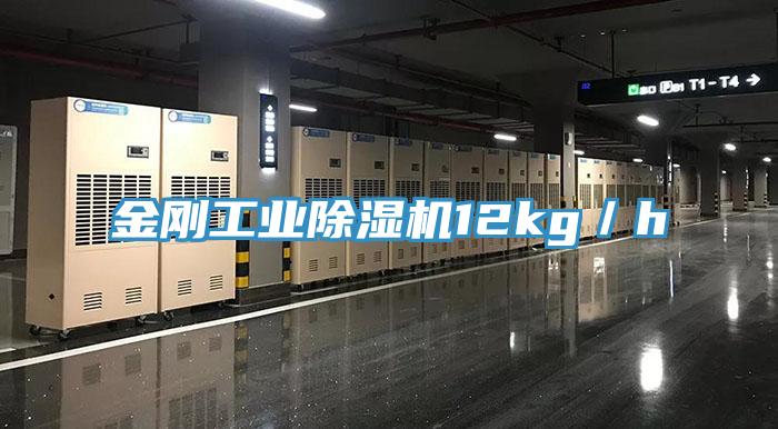 金刚工业粉色应用黄色软件12kg／h