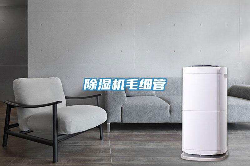 粉色应用黄色软件毛细管