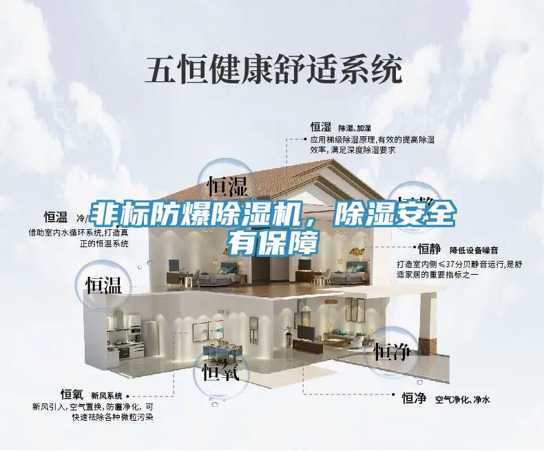 非标防爆粉色应用黄色软件，除湿安全有保障