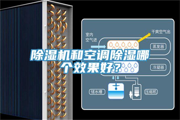 粉色应用黄色软件和空调除湿哪个效果好？