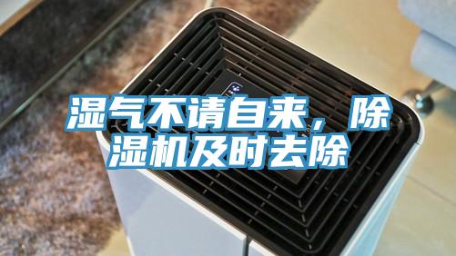 湿气不请自来，粉色应用黄色软件及时去除