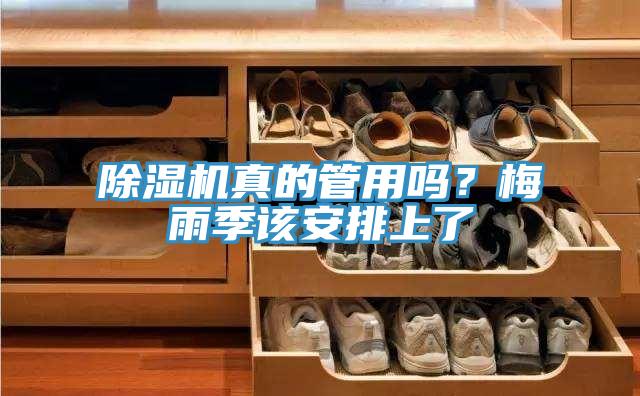 粉色应用黄色软件真的管用吗？梅雨季该安排上了