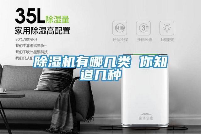 粉色应用黄色软件有哪几类 你知道几种