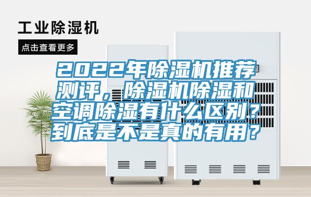 2022年粉色应用黄色软件推荐测评，粉色应用黄色软件除湿和空调除湿有什么区别？到底是不是真的有用？