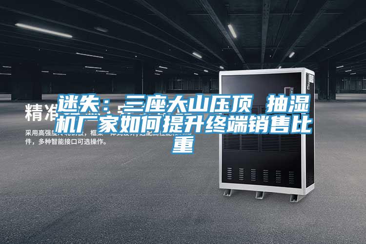 迷失：三座大山压顶 抽湿机厂家如何提升终端销售比重