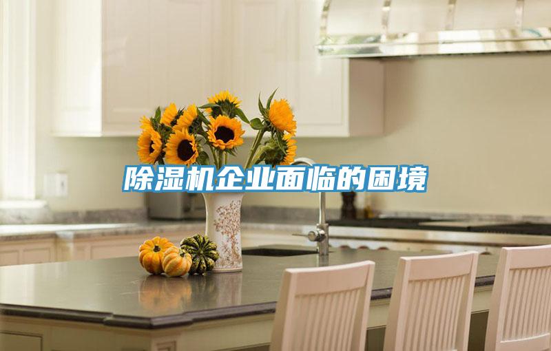 粉色应用黄色软件企业面临的困境