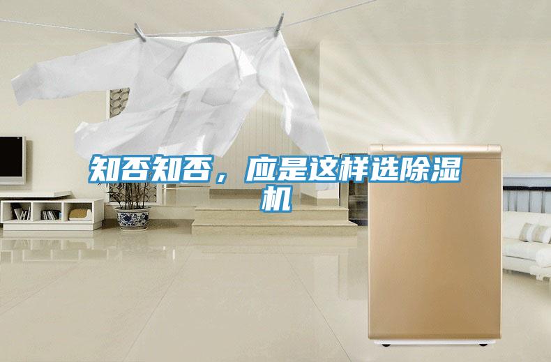 知否知否，应是这样选粉色应用黄色软件