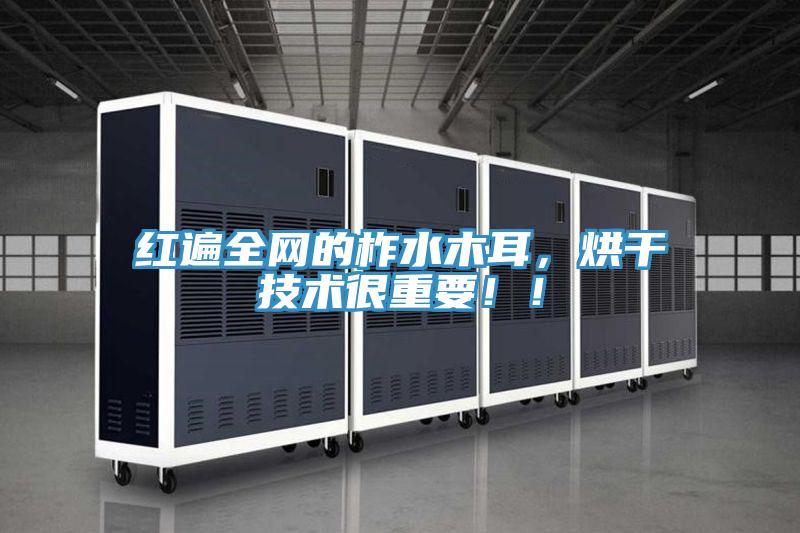 红遍全网的柞水木耳，烘干技术很重要！！