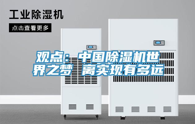 观点：中国粉色应用黄色软件世界之梦 离实现有多远