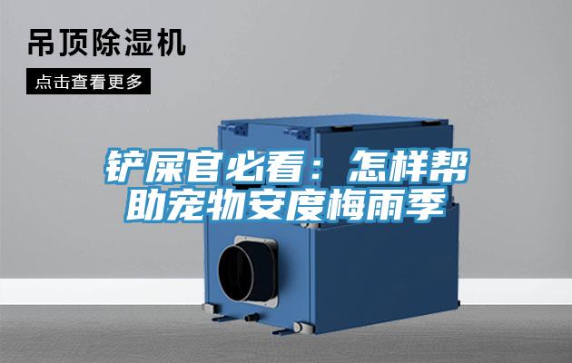 铲屎官必看：怎样帮助宠物安度梅雨季