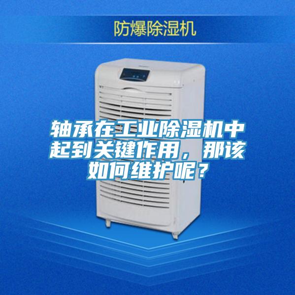 轴承在工业粉色应用黄色软件中起到关键作用，那该如何维护呢？