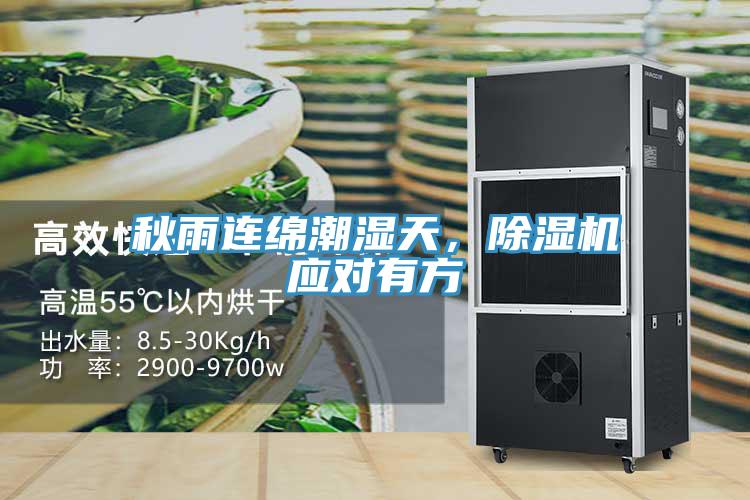 秋雨连绵潮湿天，粉色应用黄色软件应对有方