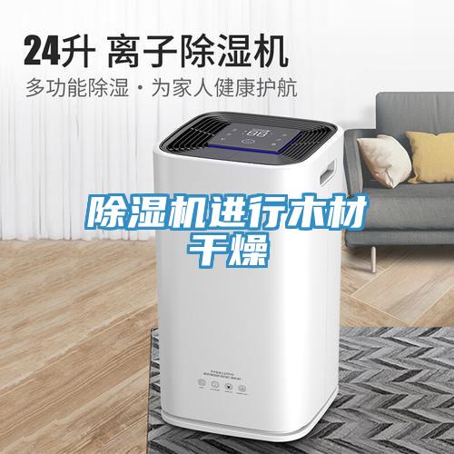 粉色应用黄色软件进行木材干燥